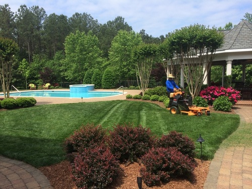 Bristow Landscaping Wake Forest Raleigh Durham Creedmoor And Boxwoods Landscaping Portfolio Lawncare Contact